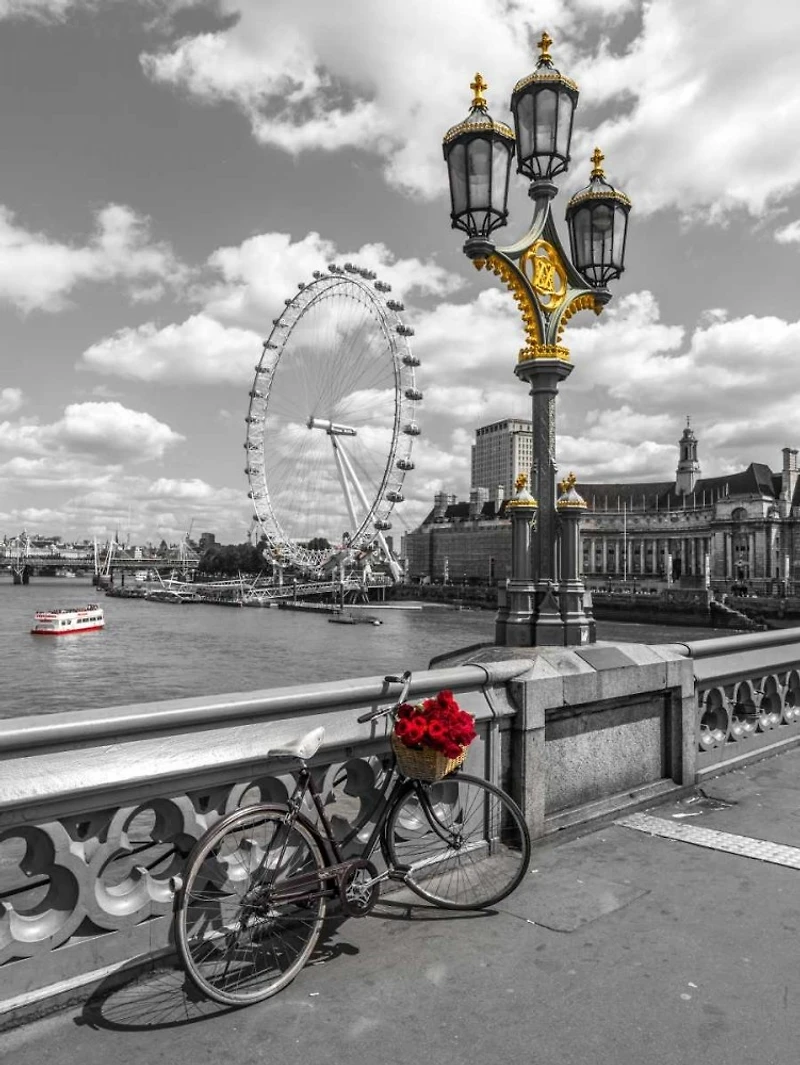 Assaf Frank - Bicycle with bunch of flowers on Westminster Bridge, London