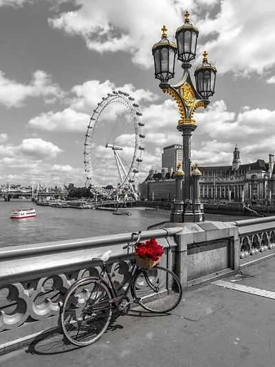 Assaf Frank - Bicycle with bunch of flowers on Westminster Bridge, London