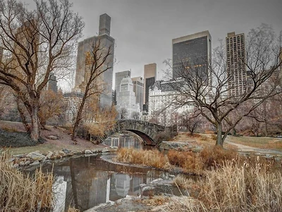 Assaf Frank - Central park Manhattan skyline