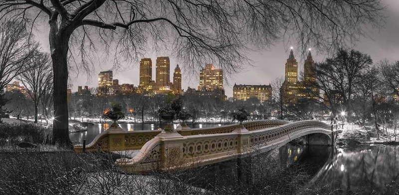 Assaf Frank - Central park with Manhattan skyline