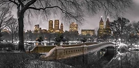 Assaf Frank - Central park with Manhattan skyline