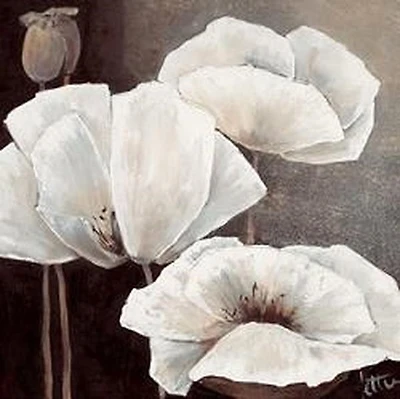 Jettie Roseboom - White Beauty