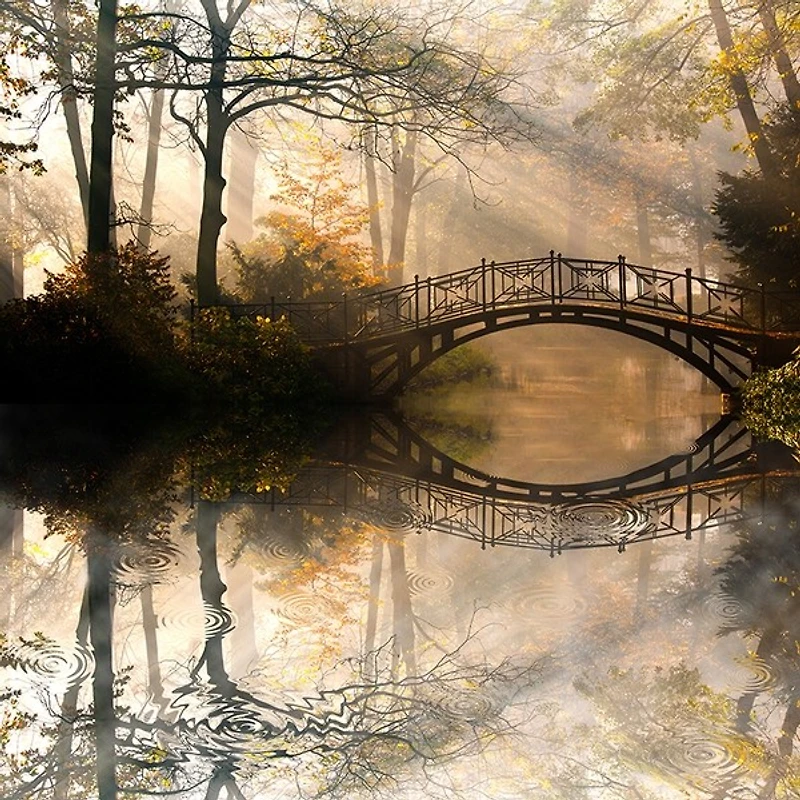 Joey Joe - Autumn Old Bridge