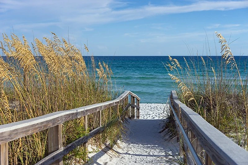 Luis Bond - Beach Boardwalk With Dunes and Sea Oats