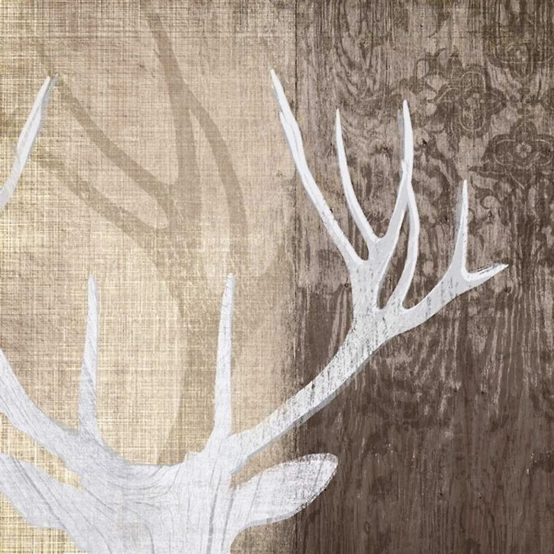 Tandis Venter - Deer Lodge II