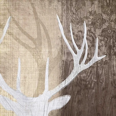 Tandis Venter - Deer Lodge II