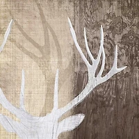 Tandis Venter - Deer Lodge II