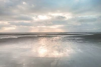 Assaf Frank - Silver Sands