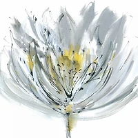 Rebecca Meyers - Le Grand Posy
