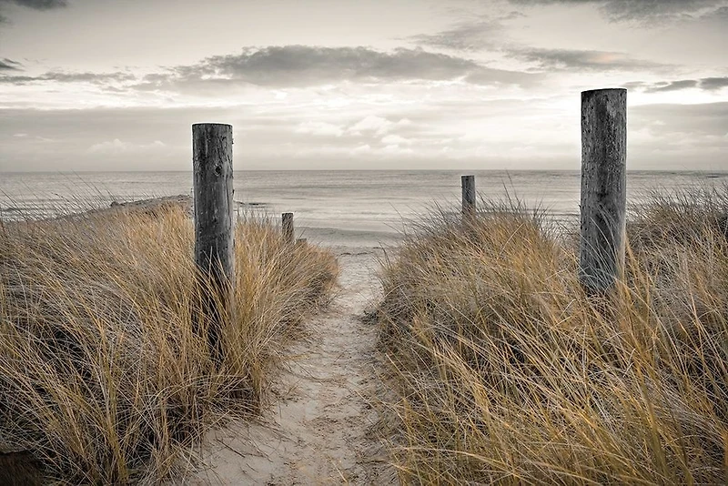 Assaf Frank  - Beach Day