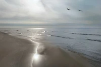 Monte Nagler - Beach Flight
