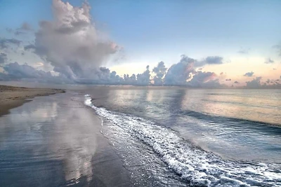 Celebrate Life Gallery - Quiet Morning