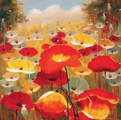 Lucas Santini - Meadow Poppies I