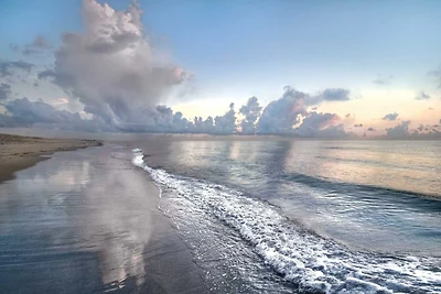 Celebrate Life Gallery - Quiet Morning