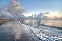 Celebrate Life Gallery - Quiet Morning