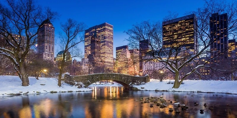 Ben McFrey - Gapstow Bridge Winter, Central Park