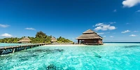 Dolores Flowers - Wooden Hut on Tropical Beach