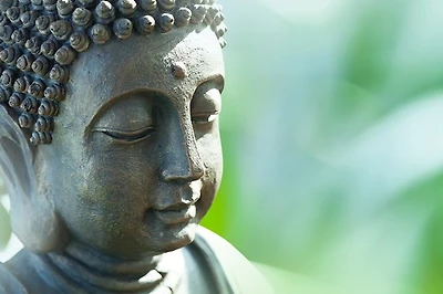 Erin Gunne - Buddha's Head