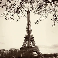 Alan Blaustein - Tour Eiffel  