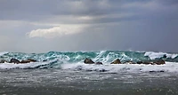 Golie Miamee - Storm Dorado