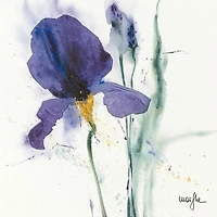 Marthe - Iris I  