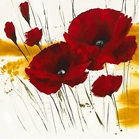 Isabelle Zacher-Finet