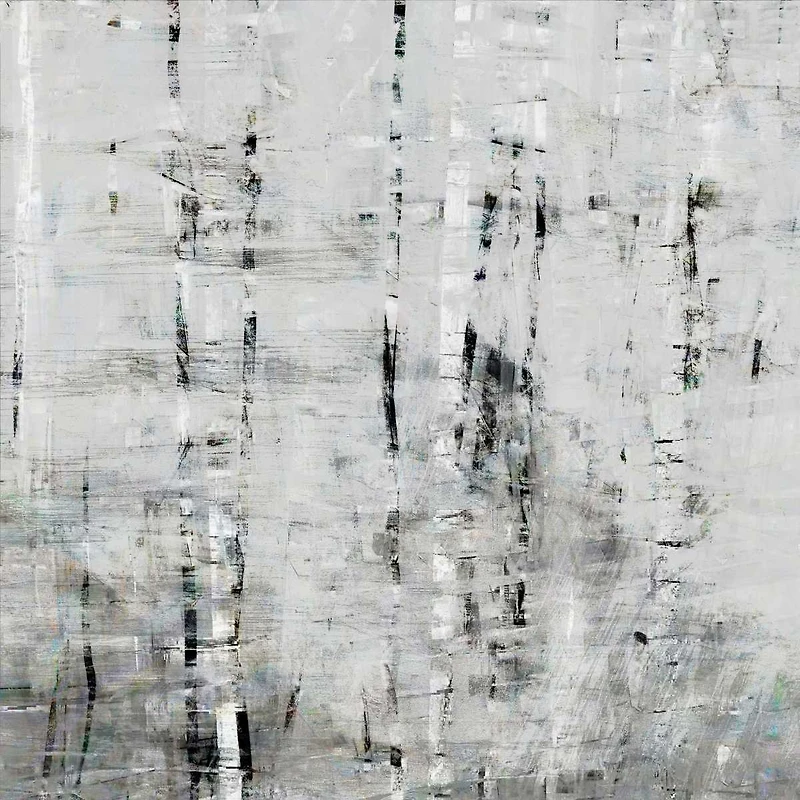 John Bingham - Birch Perspective Grey III
