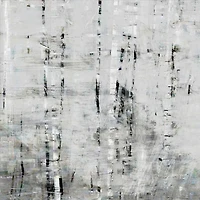 John Bingham - Birch Perspective Grey III