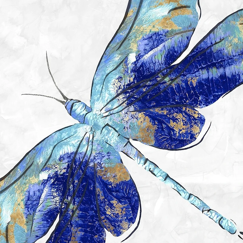 Eva Watts  - Blue Dragonfly