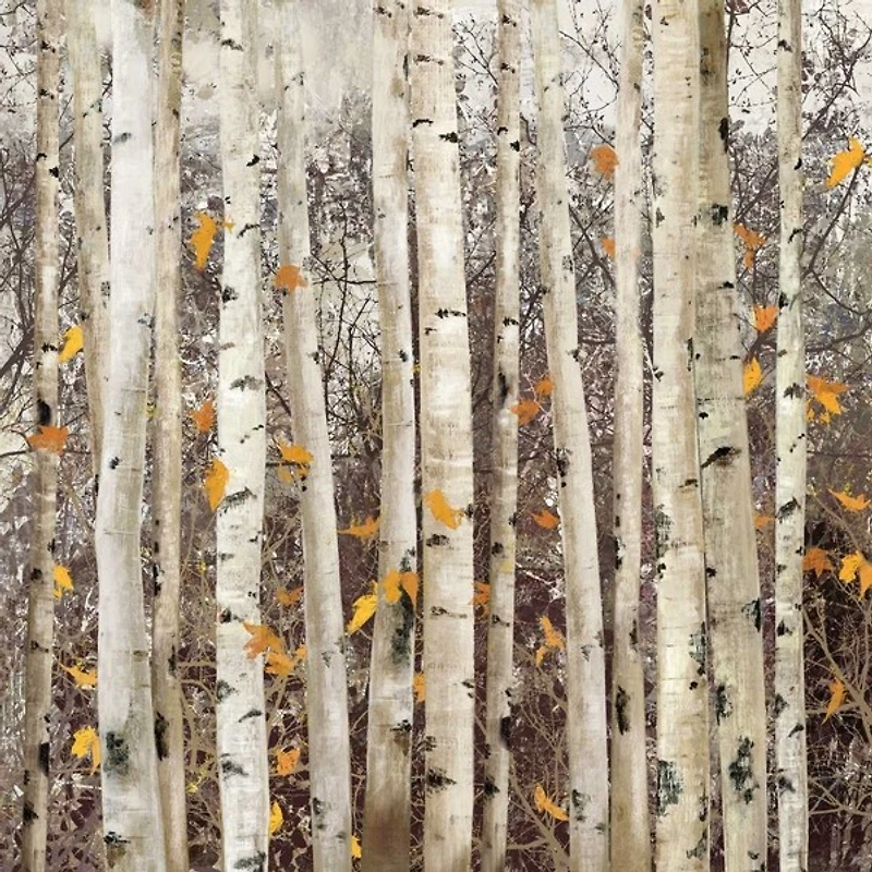 Allison Pearce - Serene Union