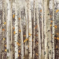 Allison Pearce - Serene Union