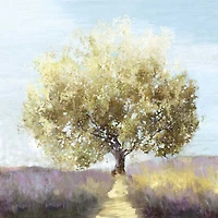 Allison Pearce - Province