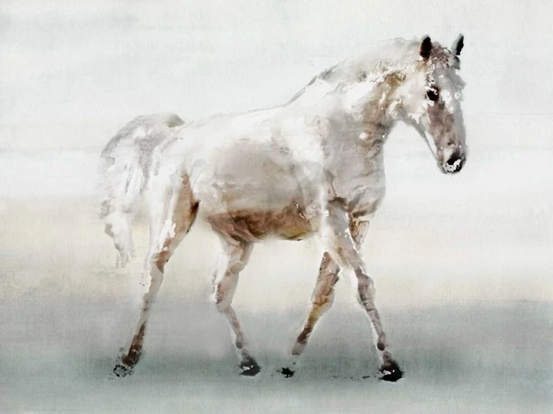 Edward Selkirk - White Horse