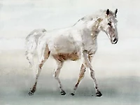 Edward Selkirk - White Horse