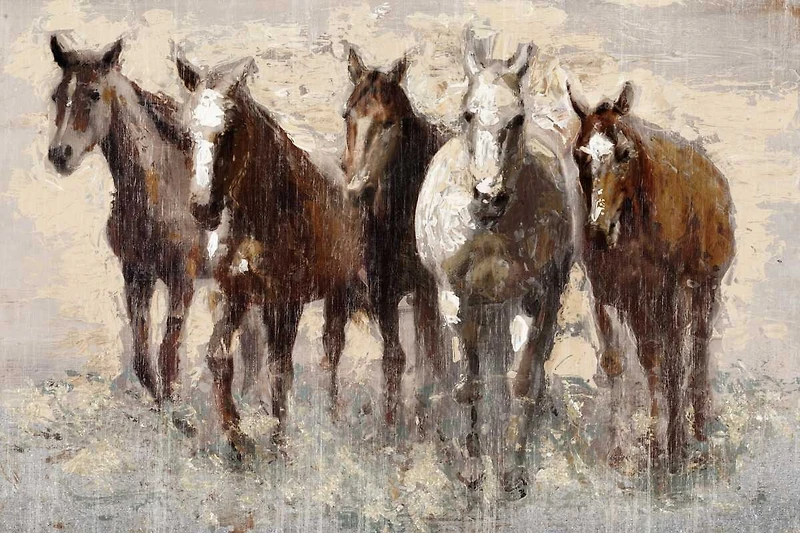 Edward Selkirf - Harras