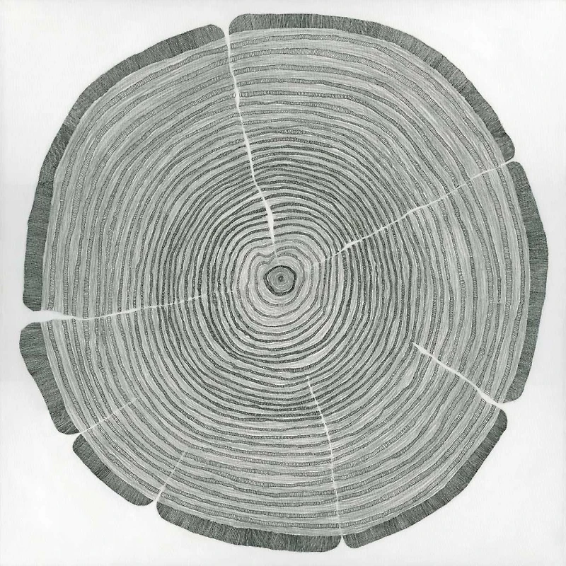 Sandrine Pellisier - Tree Lines