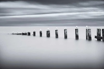 Chris Tennant - Stilts And Gulls