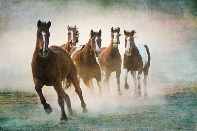 Wendy Caro - Blaze Of Glory