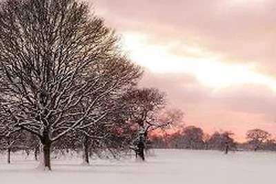 Assaf Frank - Rosy Sunset 