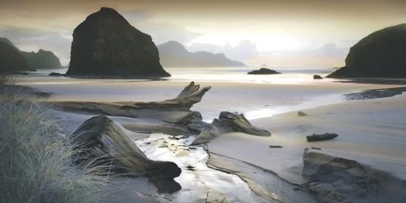 William Vanscoy - She Sleeps In The Sand-Ovsz