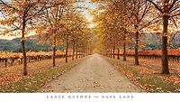 Lance Kuehne - Napa Lane  