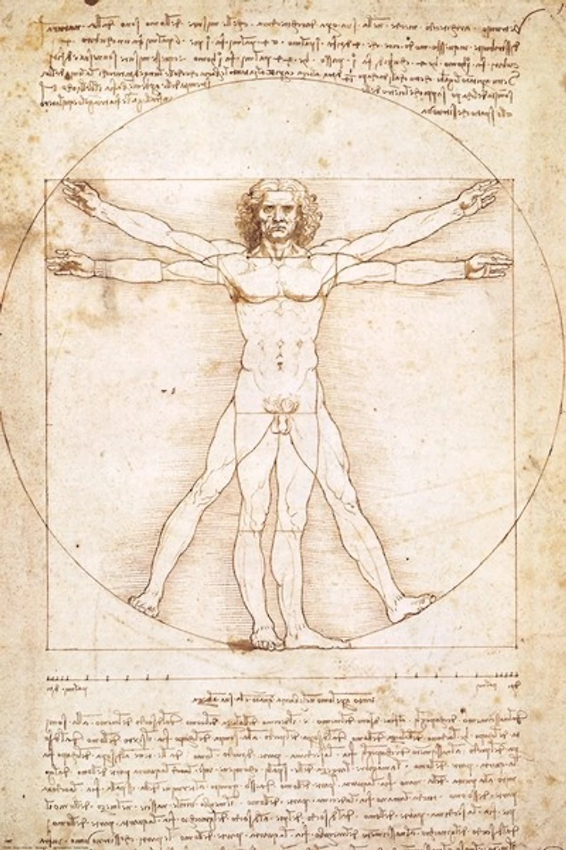 Leonardo Da Vinci - Vitruvian Man