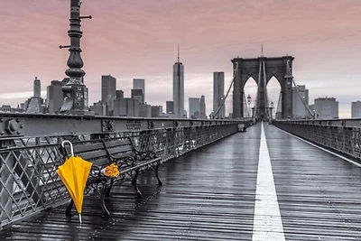 Umbrella Bridge  