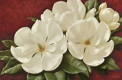 Igor Levashov - Magnolia II  