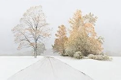 Autumn Snofall-Volkov  