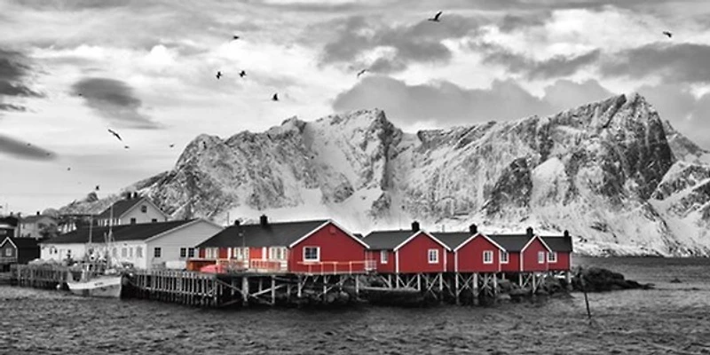 Rolf Fischer - Lofoten Nähe Reine Mit Roten Hütten  