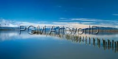 Nordic Peace  