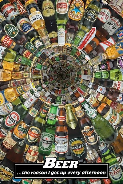 Beer The Reason  