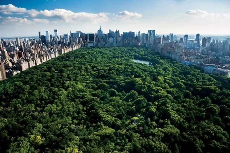 Central Park, New York