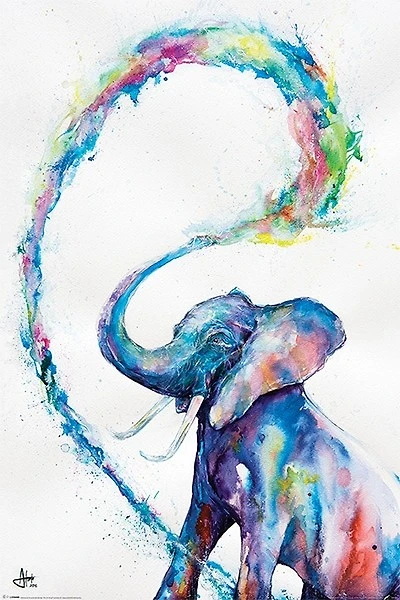 Elephant  